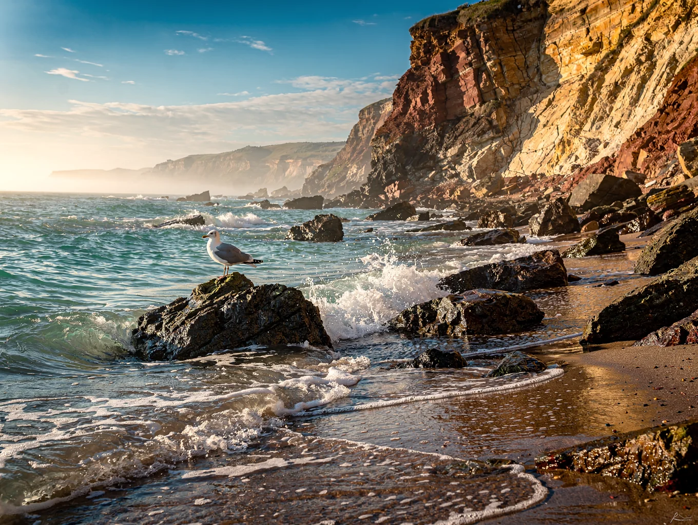 Steep coastal cliffs and crystalline ocean waters surrounding the rugged Channel Islands National Park