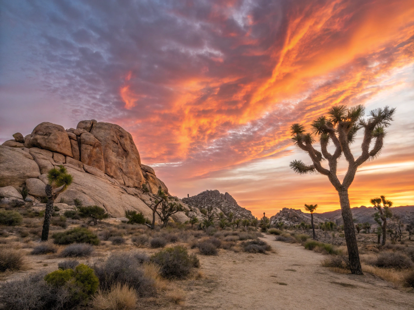 Silhouetted Joshua trees and massive rounded granite boulders under a vast desert sunset sky