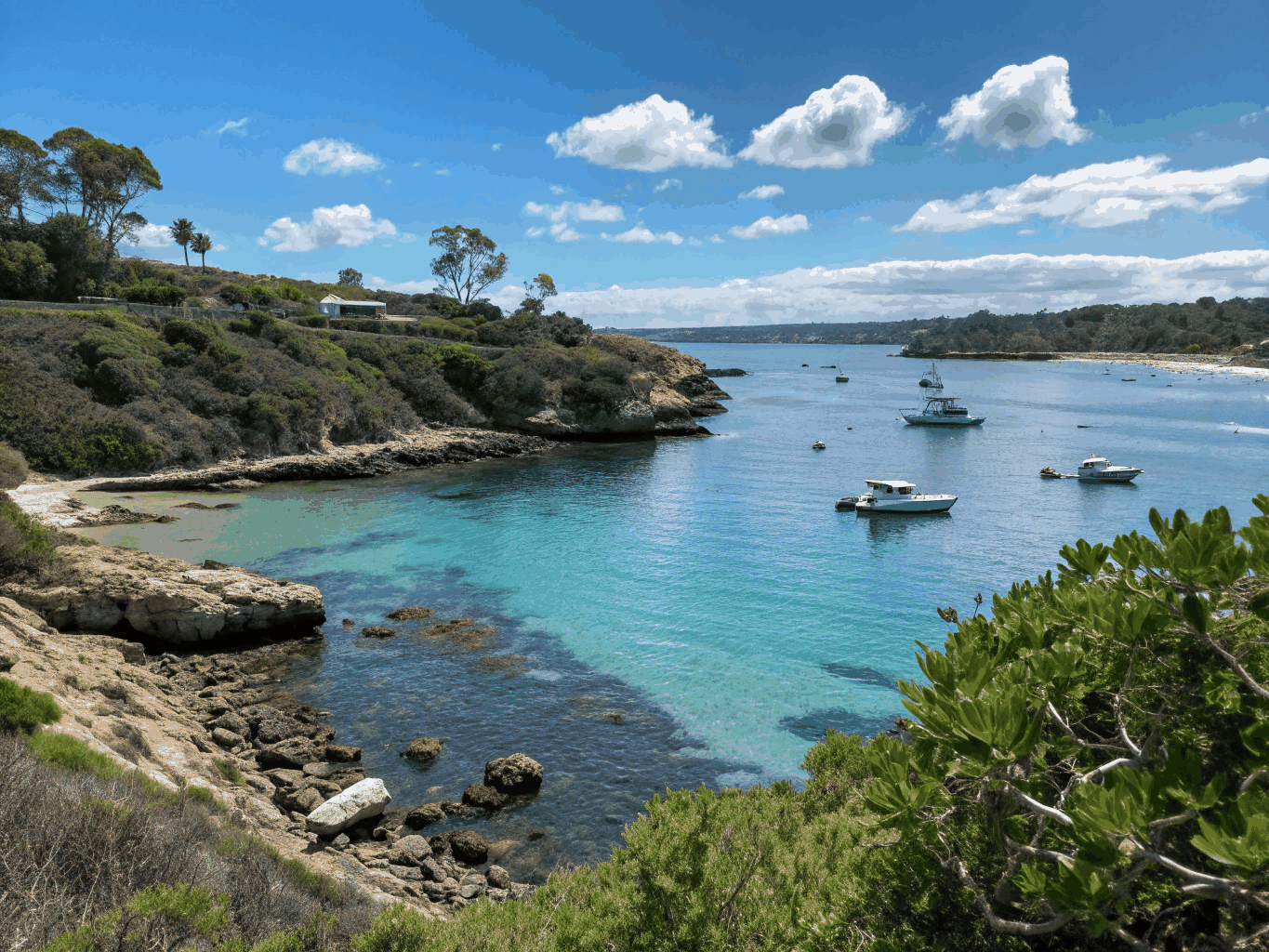 Sunlit sandstone cliffs curving around turquoise coves and tide pools in La Jolla, San Diego