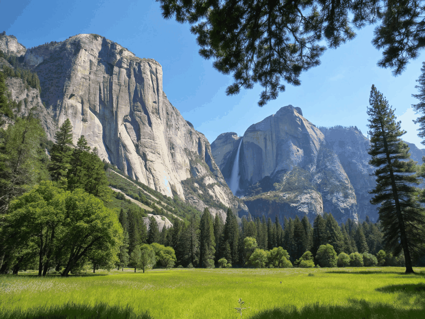 Monumental sheer granite face of El Capitan rising over the pine canopy of Yosemite Valley