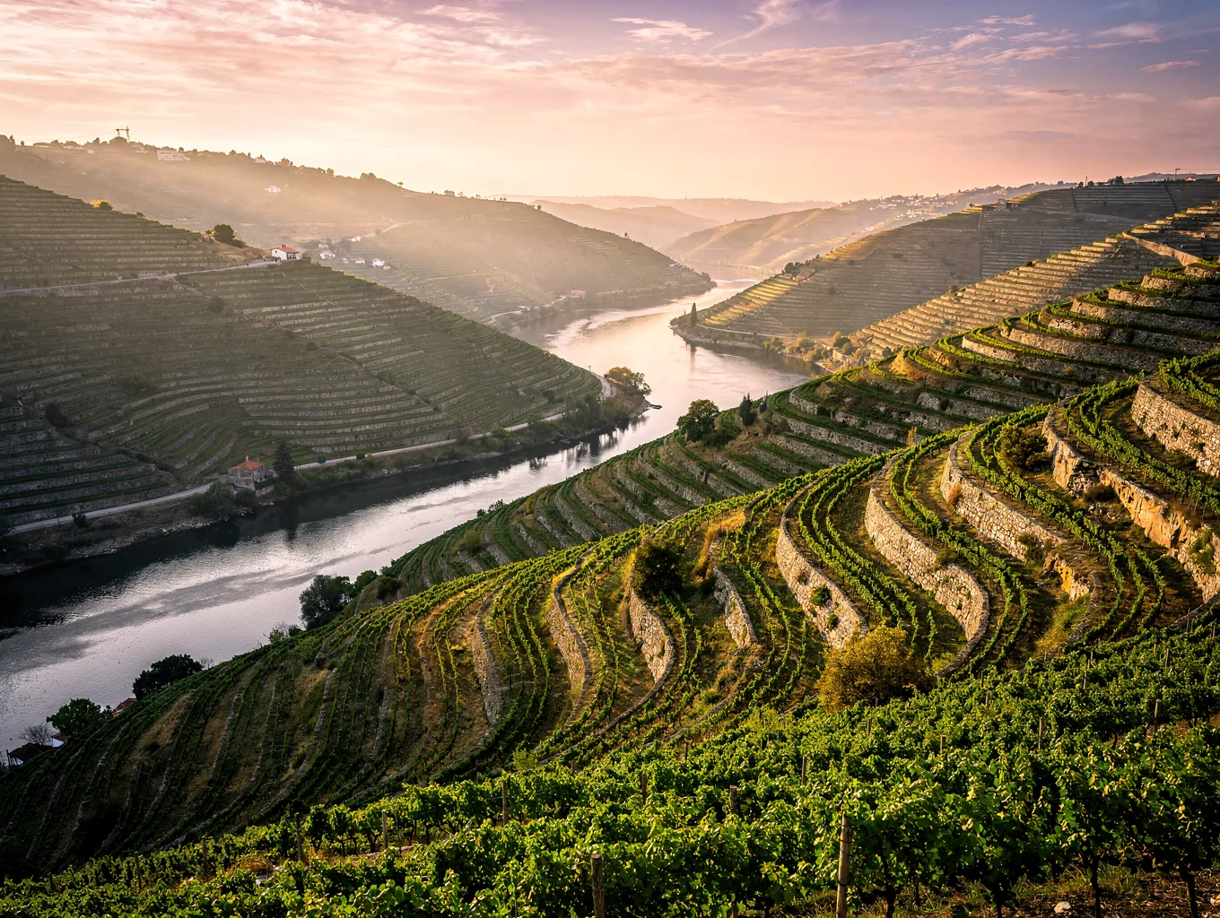 Sculpted vineyard terraces sloping directly down to the curving Douro river