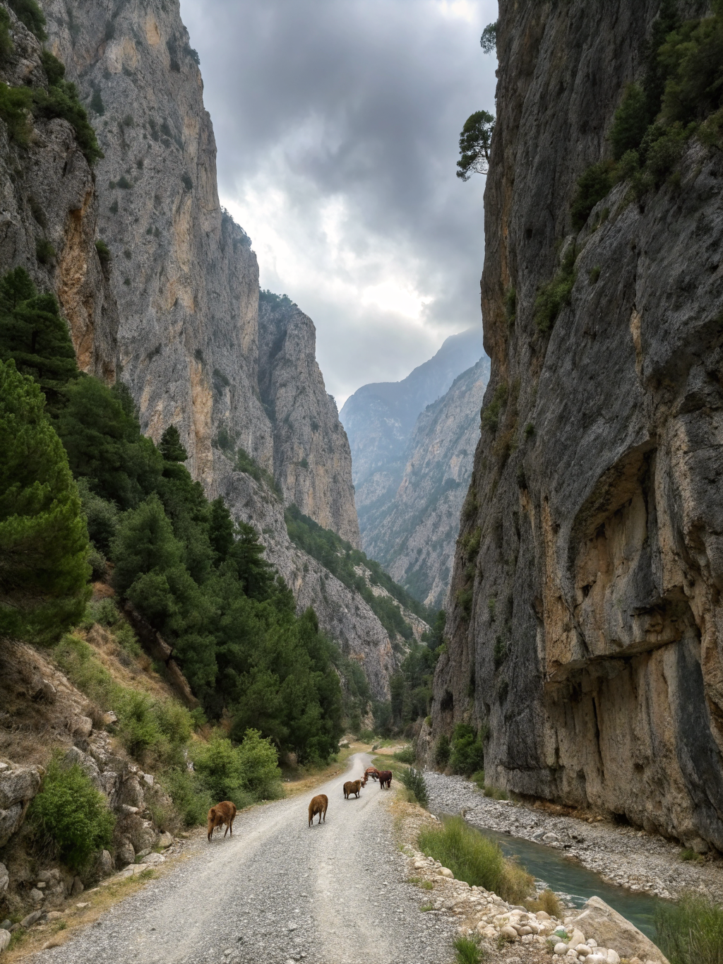 Dramatic high stone canyon walls flanking a gravel walking trail