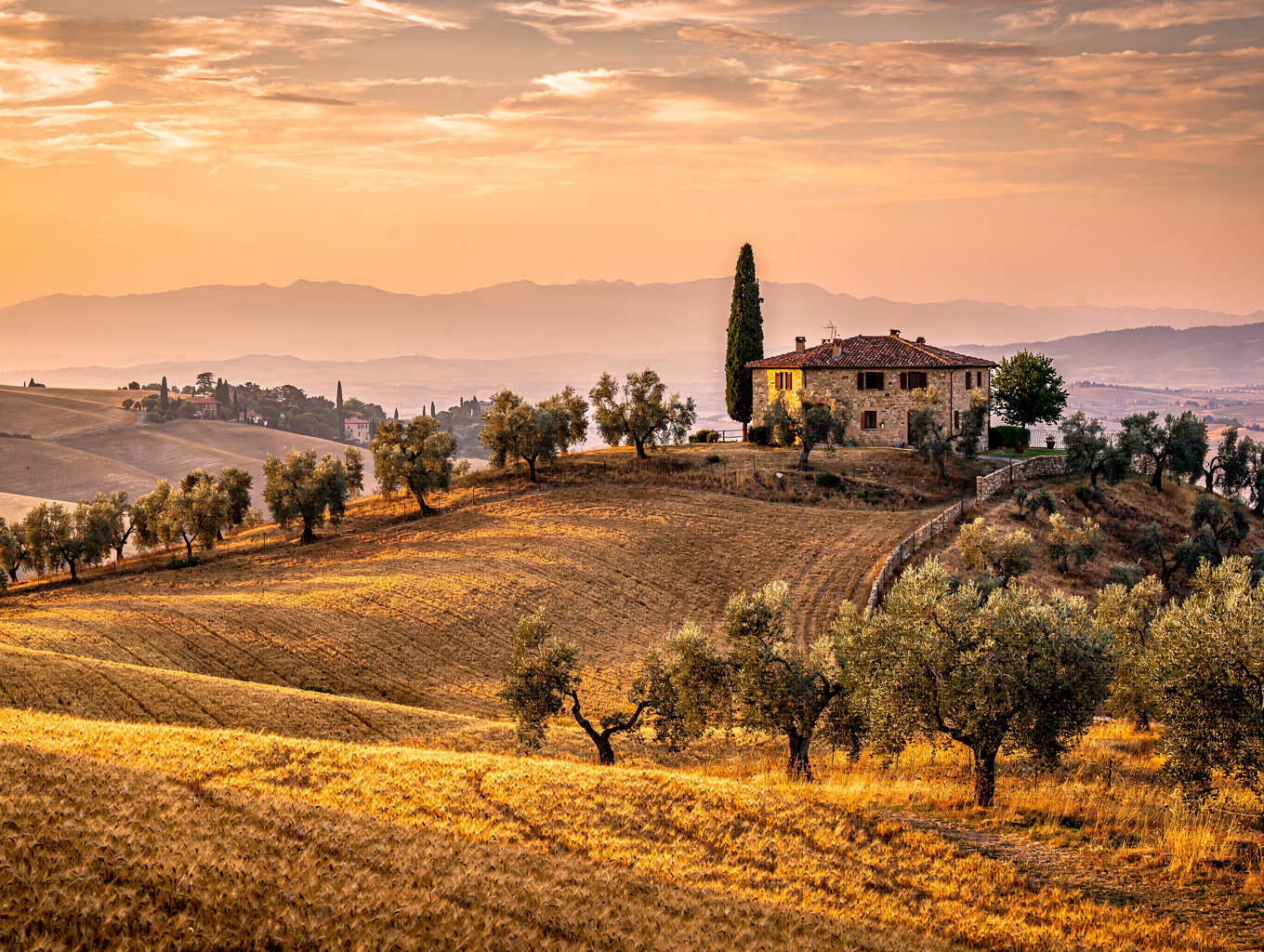 Stone medieval tower houses rising above golden Tuscan farm fields